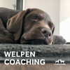 welpencoaching_tildaundcuno