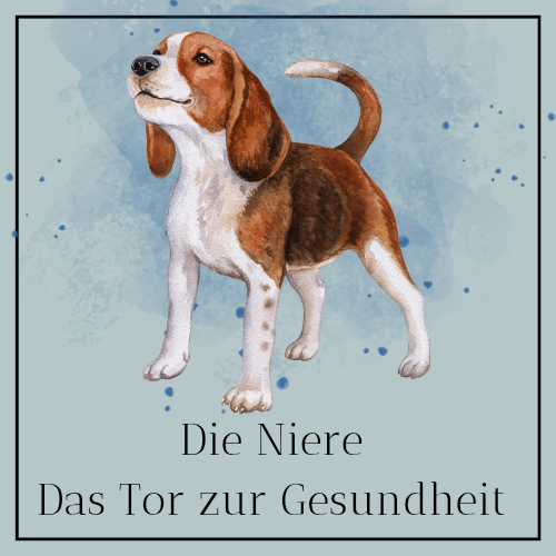 Logotipo amor ilustrado nude_20250923_094607_0000-500x500.png