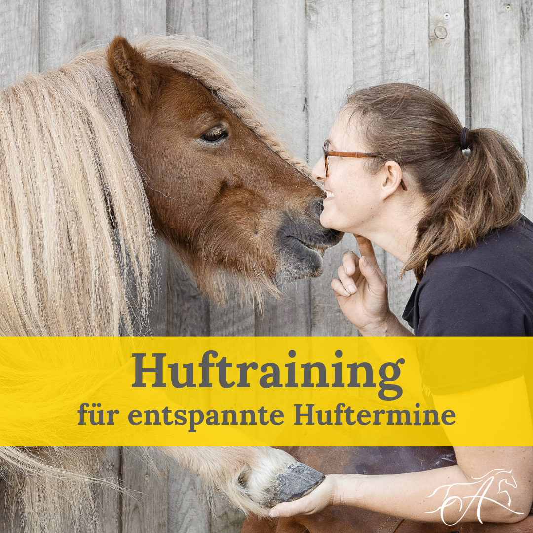 huftraining-1080x1080.png