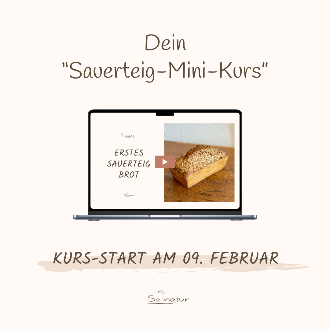 Dein Sauerteig Mini Kurs