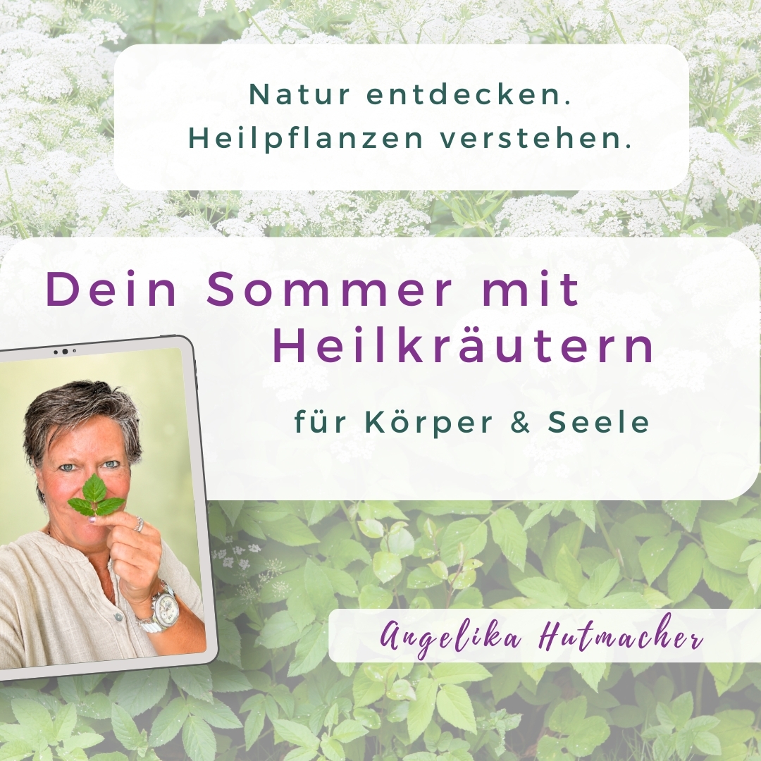 kräuter-1080x1080.jpg