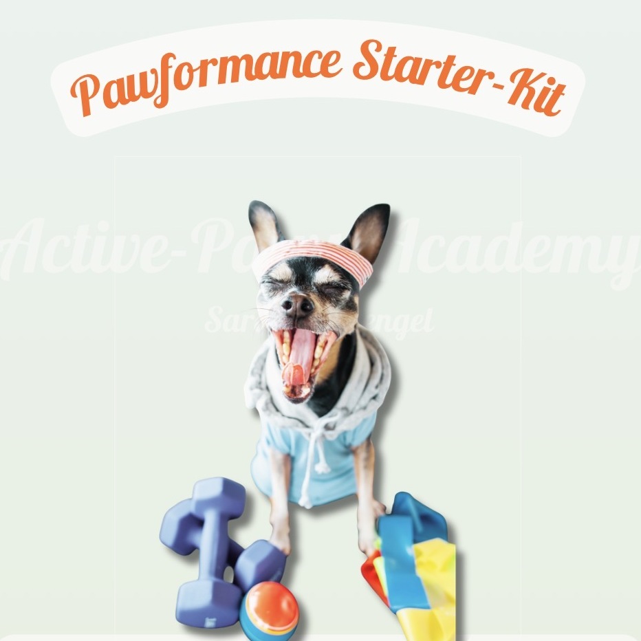 Cover von Paw-formance  Workbook 