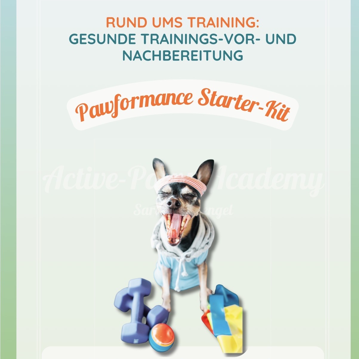 Cover von Paw-formance  Workbook 