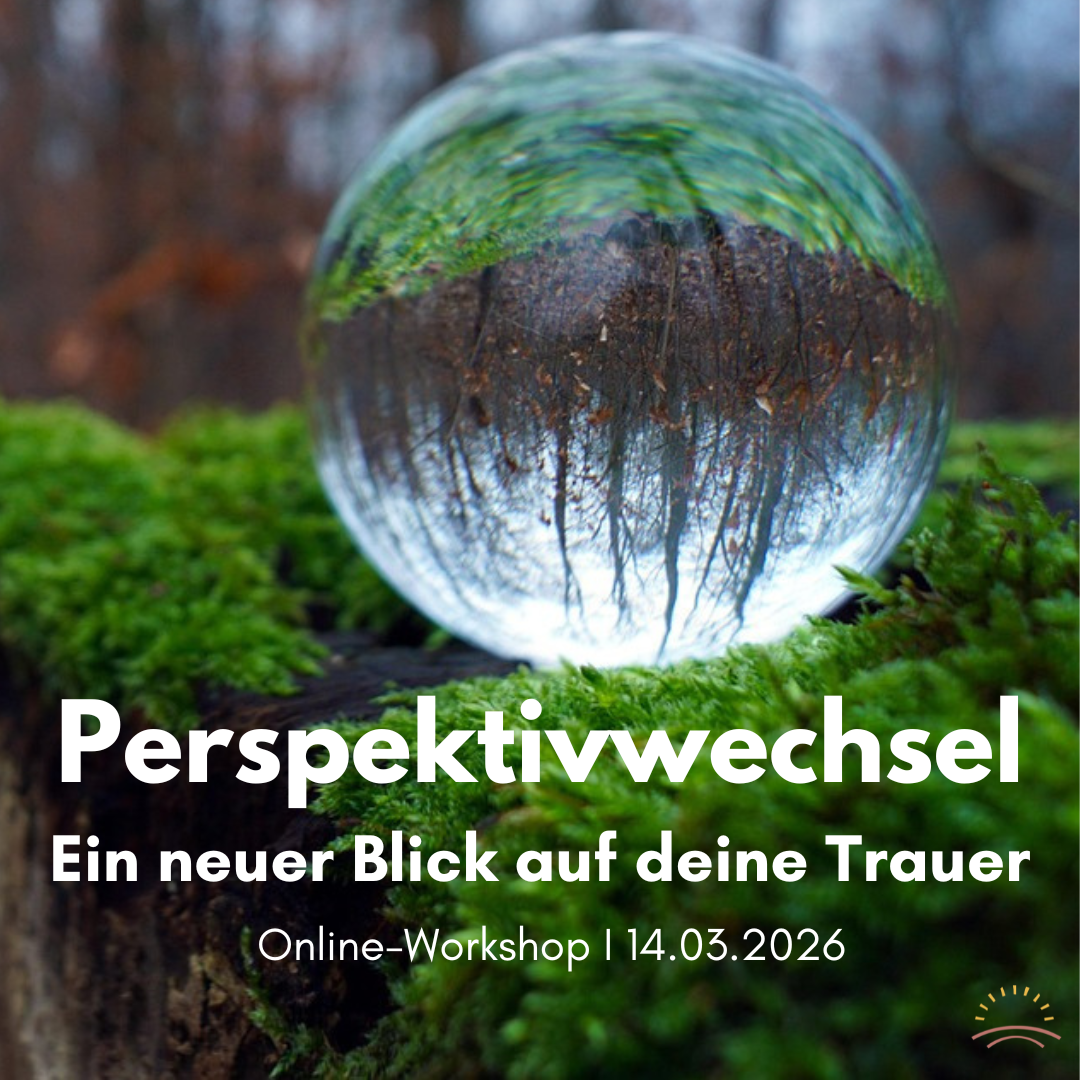 Perpektivwechsel_OnlineWorkshop-1080x1080.png