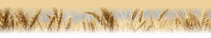 loaded_image