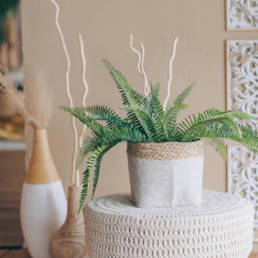 Selbstständigkeit 2.0