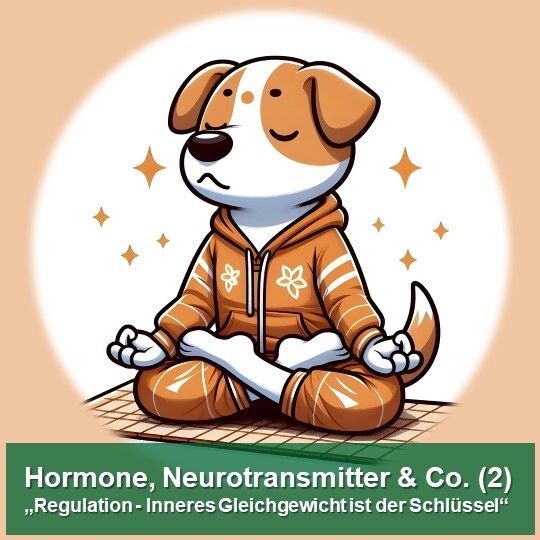 KIMBA Selina Manu - WebVortrag - Hormone Neurotransmitter Regulation