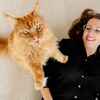 rote Katze steht auf Mensch