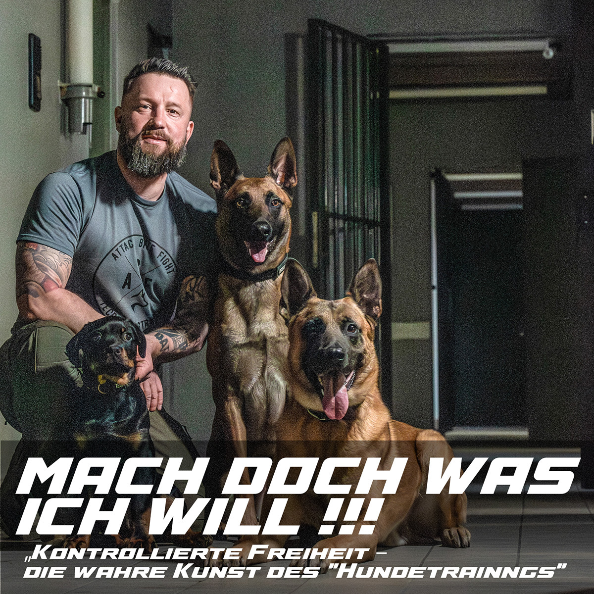 MDWIW_Tecdog_Sebastian_Schaefer_mondioring_online_coaching_hundetraining_hundesport-1200x1200.jpg