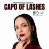 CAPO OF LASHES - BASIS