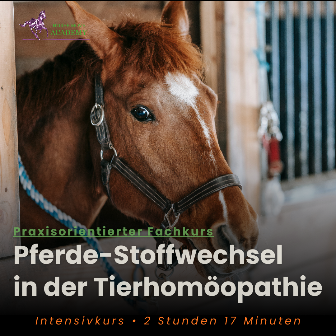 Stoffwechsel_Cover-1080x1080.png