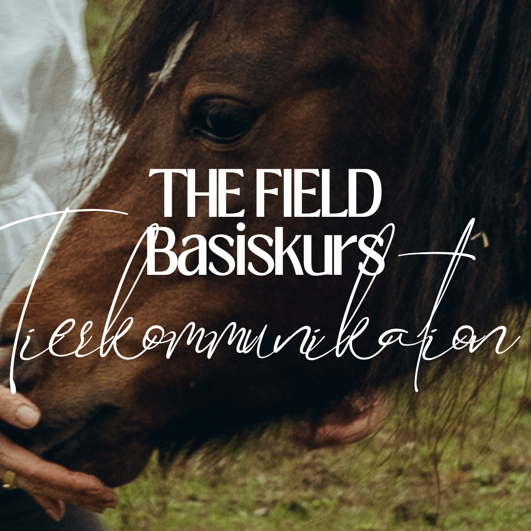 Reel Covers-1080x1080.png