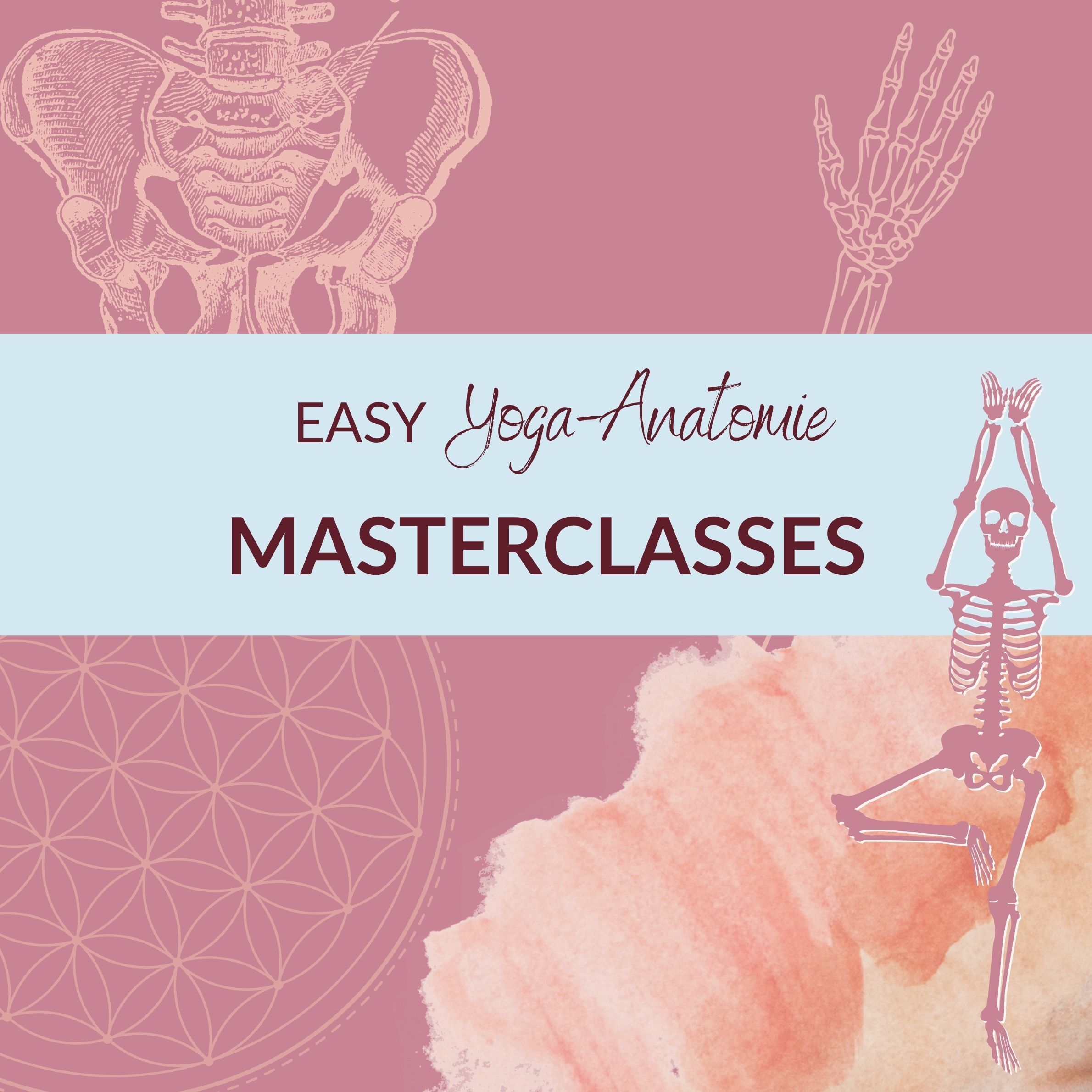 Easy Yoga Anatomie Masterclasses
