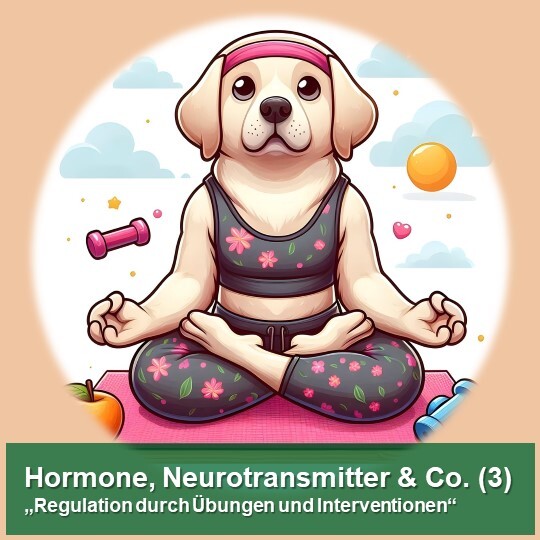 Bild 3 ablefy Quadrat-540x540.jpg