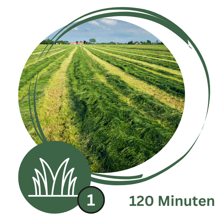 Logo-Kurs Physiologie der Verdauung 1_120 Minuten