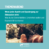 Themenabend Spaziergang