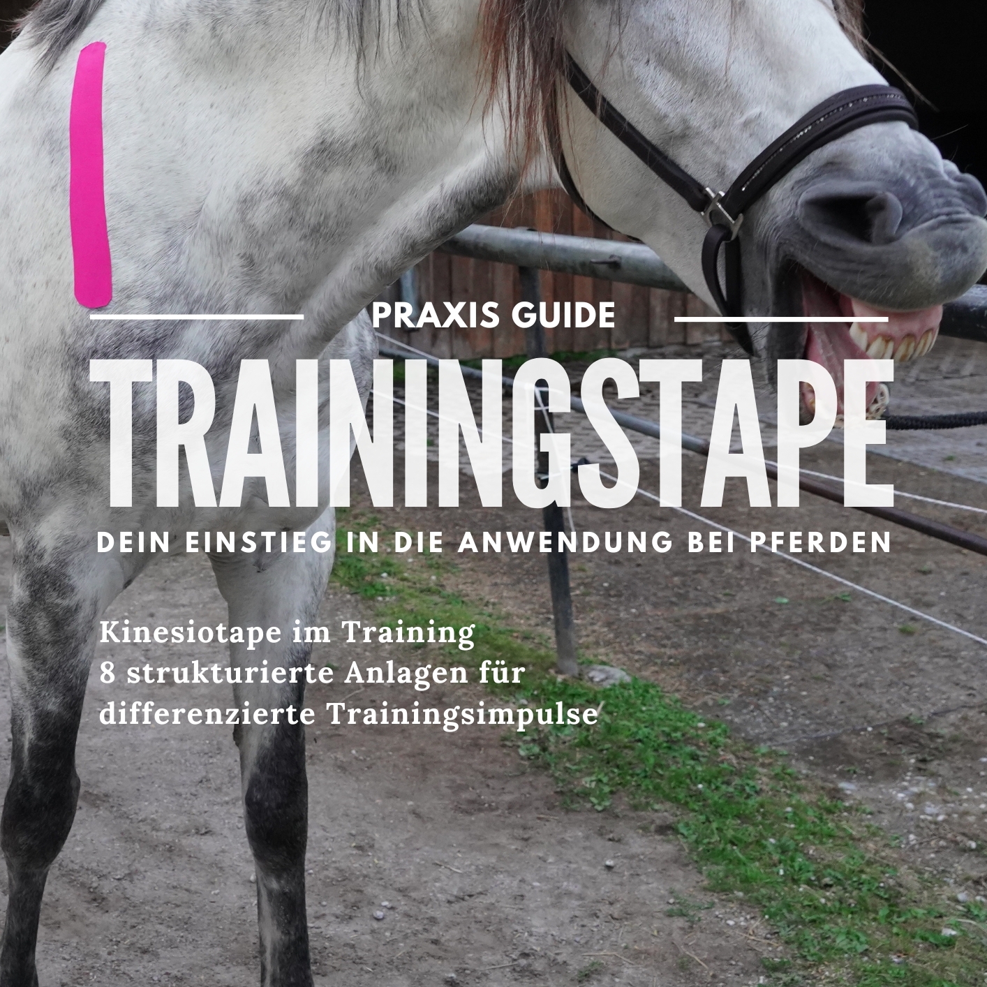 K.Trainingstape Guide-1414x1414.jpg