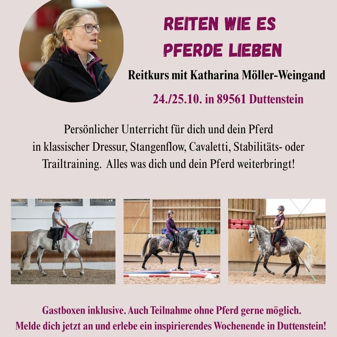 Reiten wie es Pferde lieben-1080x1080.jpg