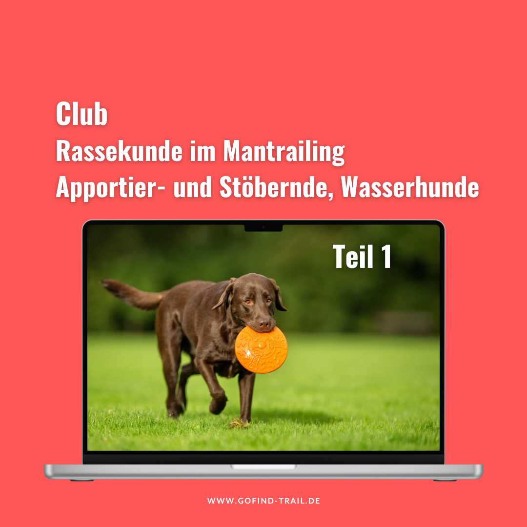 gofind_rassekunde_apportier_teil_1-1080x1080.png