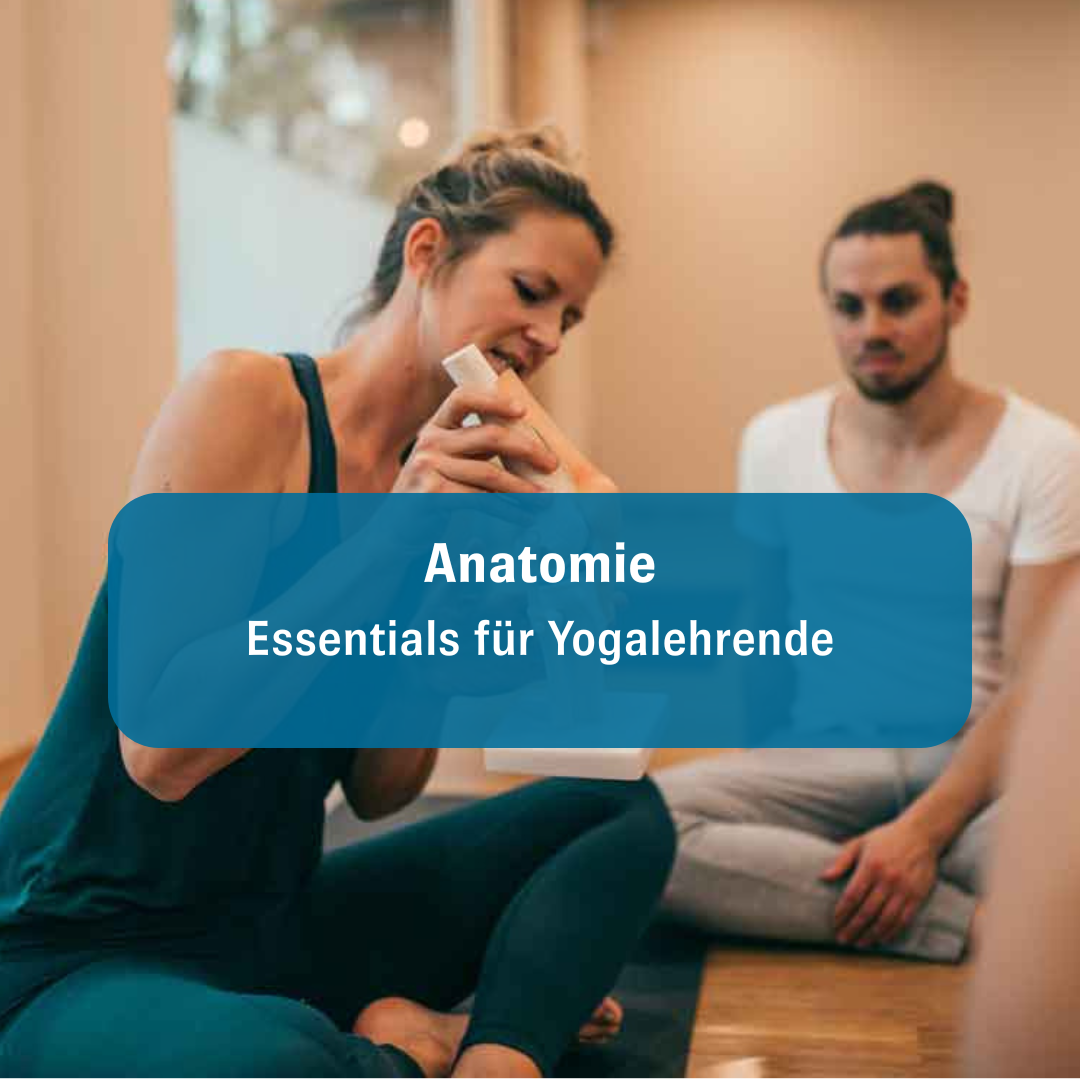 Anatomiewissen für Yogalehrende für das direkte Umsetzen im Unterricht