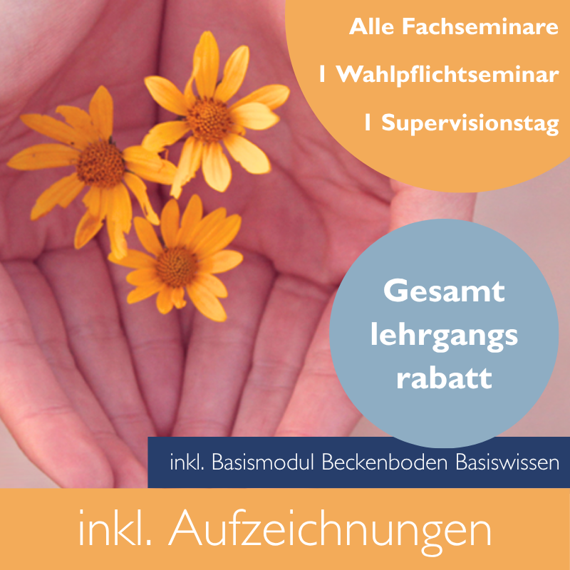 Hinweis auf Gesamtlehrgangsrabatt inkl. Basismodul "Beckenboden Basiswissen"