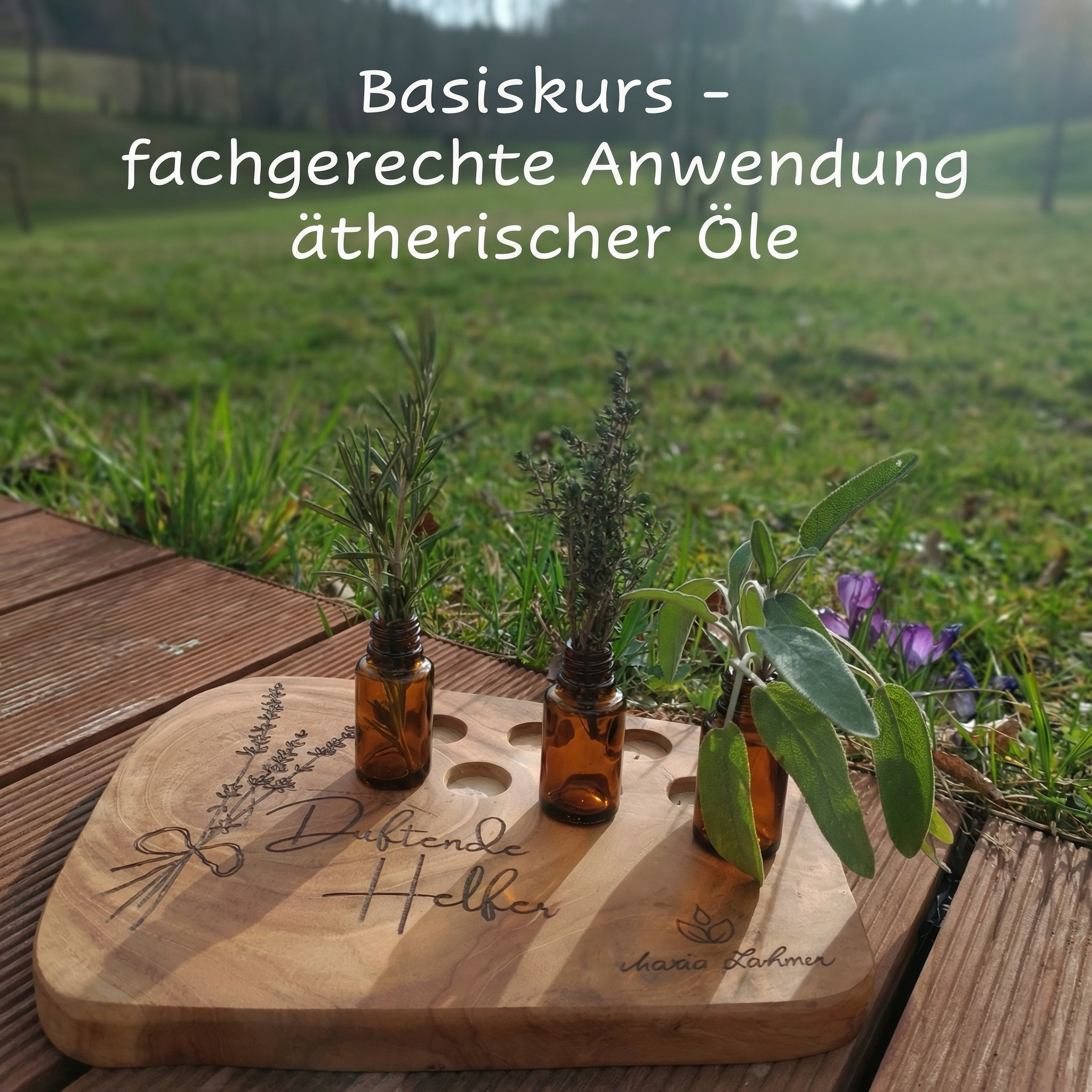 Titelbild 1080x1080-2048x2048.png