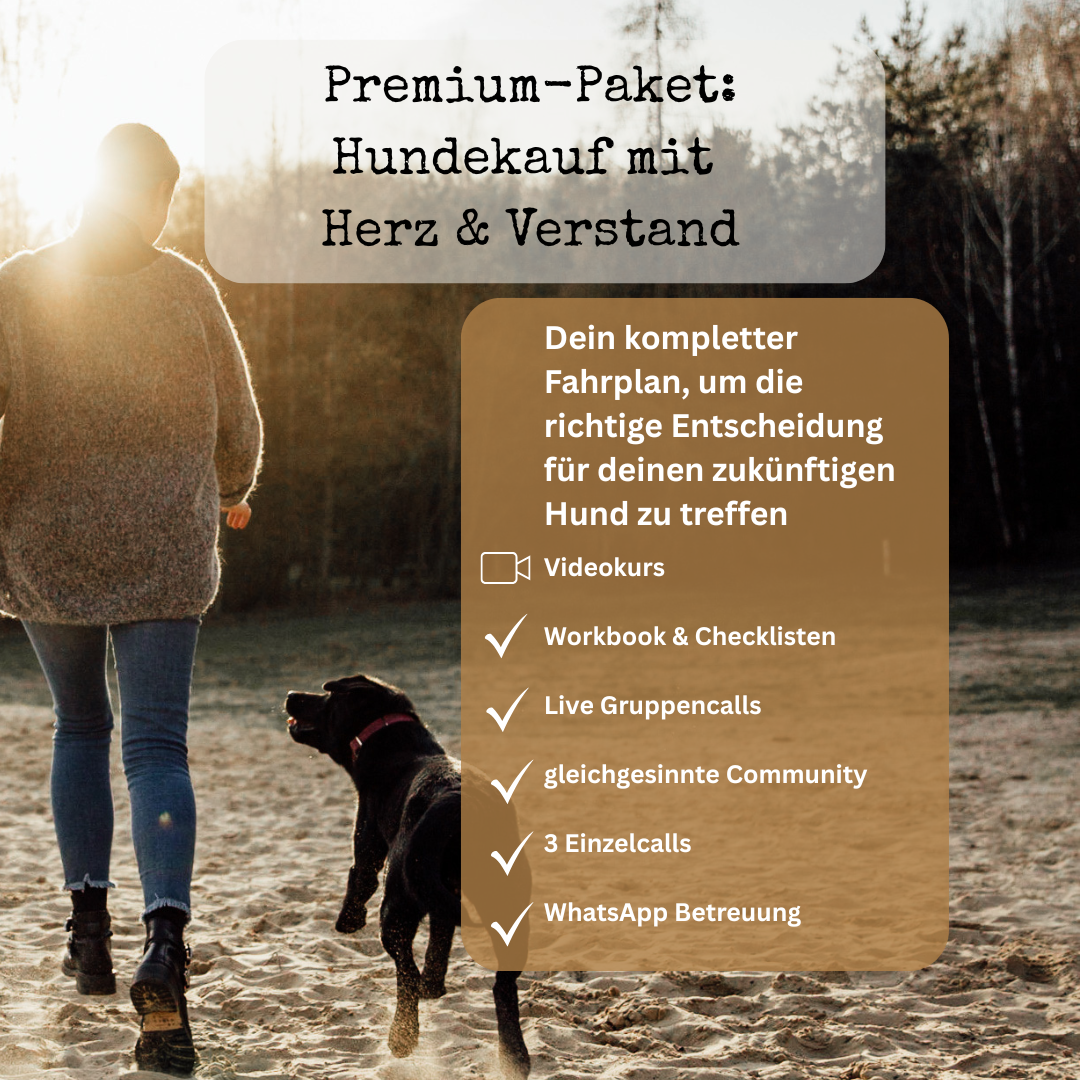 Produktbilder Digistore (1080 x 1080 px) (1)-1080x1080.png
