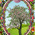 digital-icon