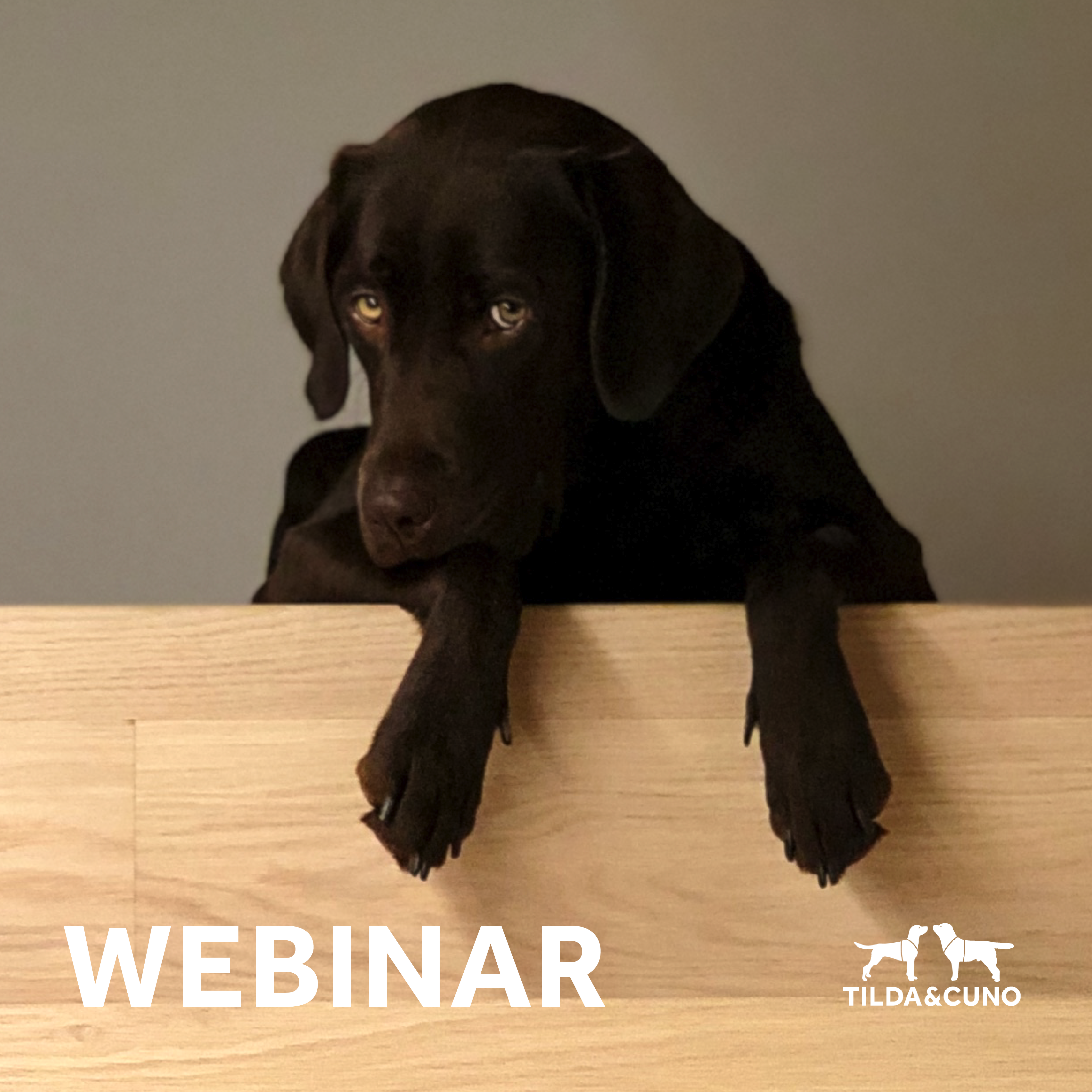 TILDA & CUNO WEBINAR