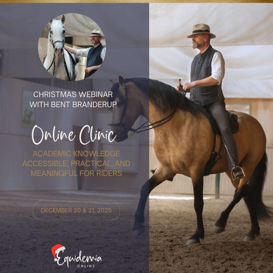 Webinar einladung (Instagram Post) (4)-1080x1080.jpg