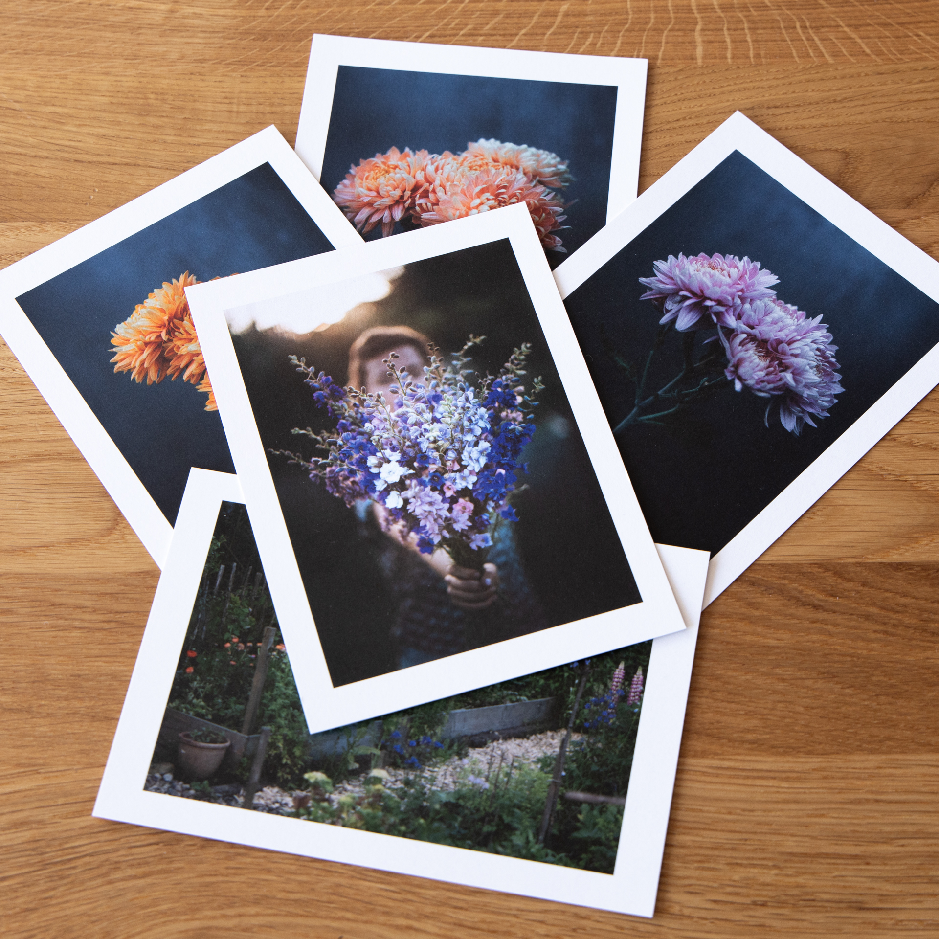Kartenset 2 - Aus dem Garten - 5 Postkarten mit Blumenmotiven