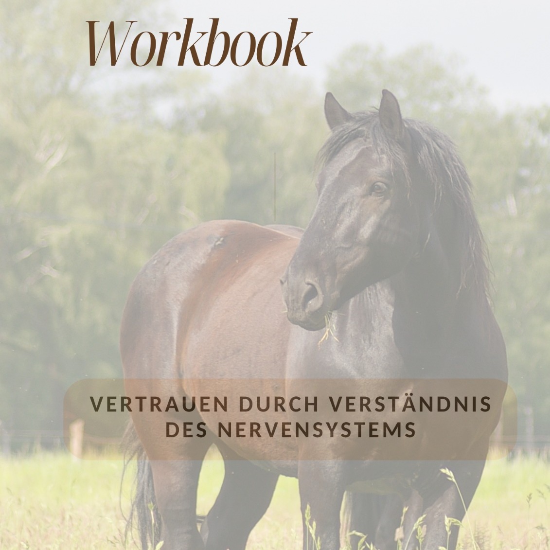 WhatsApp Image 2026-02-05 at 10.32.12 (1)-1131x1131.jpeg