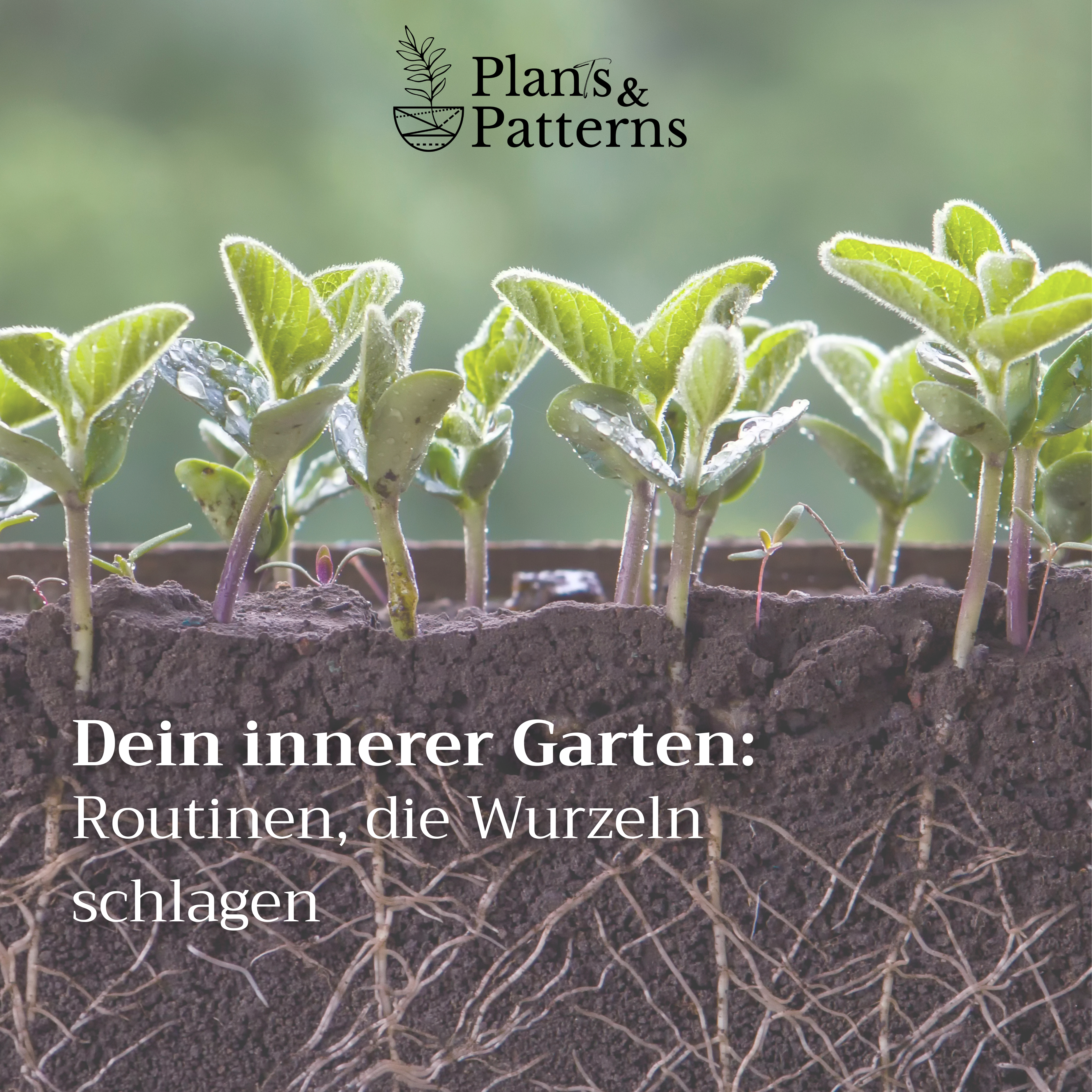 Dein Abschnittstext-5-3750x3750.png