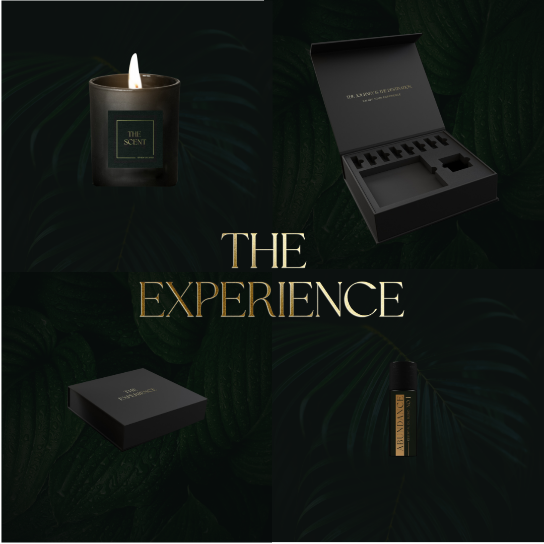 THE EXPERIENCE -  Header (Instagram-Beitrag)-1080x1080.png