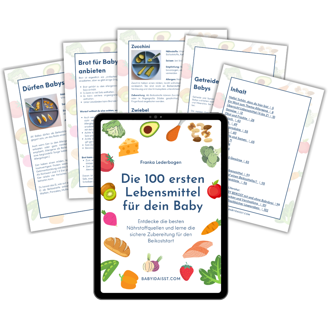 100 Lebensmittel Mockup 1 Q-1049x1049.png