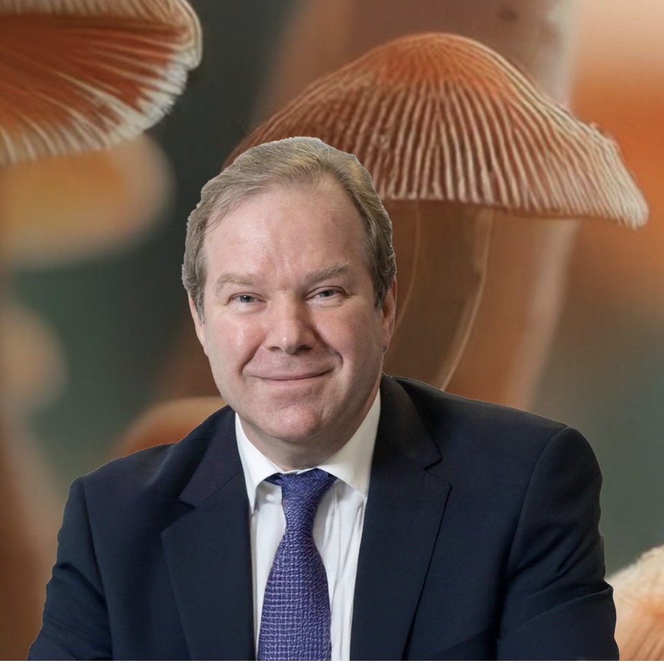 Bild 11.06.25 um 11.32-963x964.jpeg