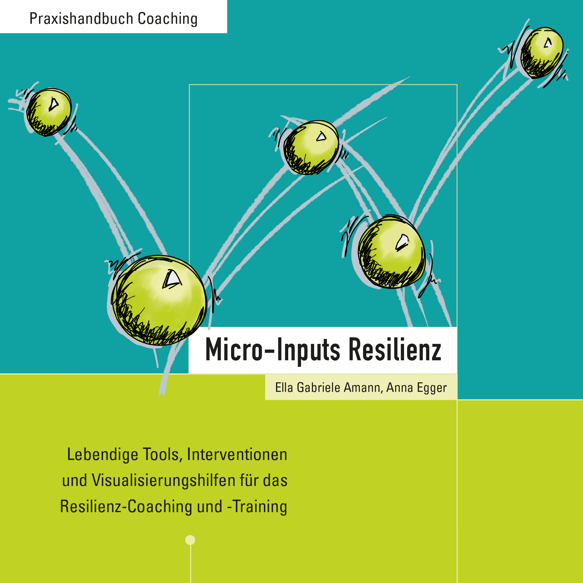 Micro-Inputs Resilienz