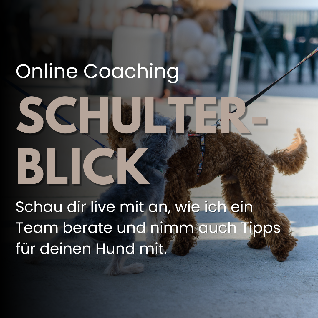 Black Blue Modern Gym Q&A Session Instagram Post (1)-1080x1080.png