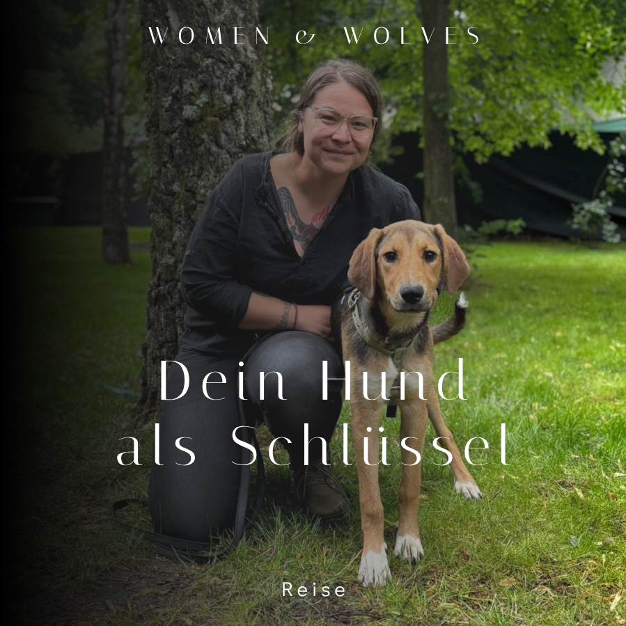 WOMEN & WOLVES-4-899x899.png