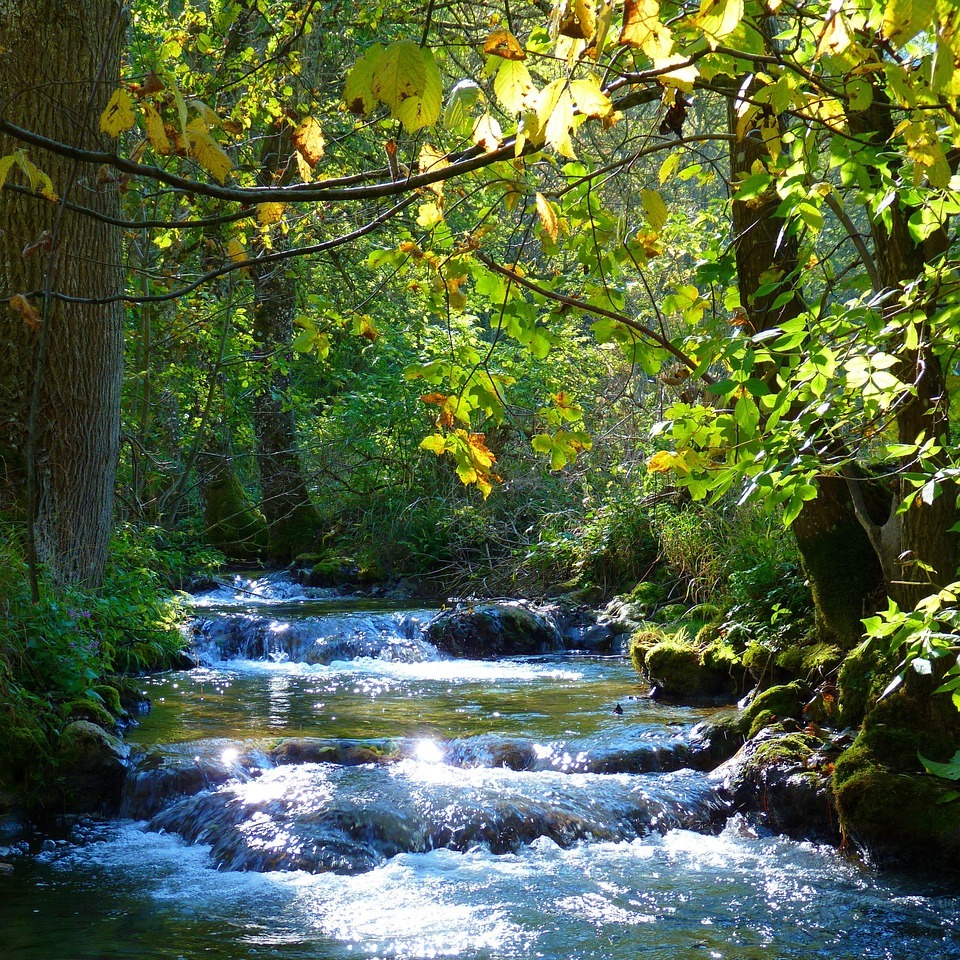 Beende den Kampf mit den Gedanken