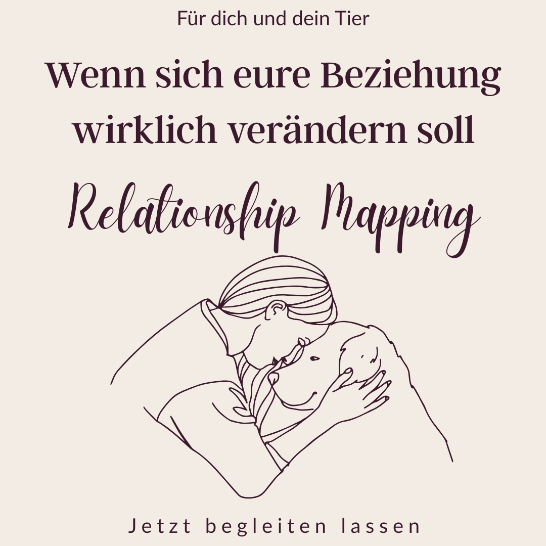 Produktbild Relationship Mapping