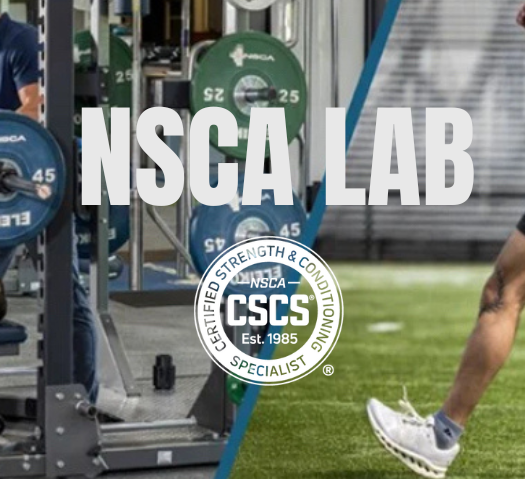 NSCA LAB BANNER -525x525.png
