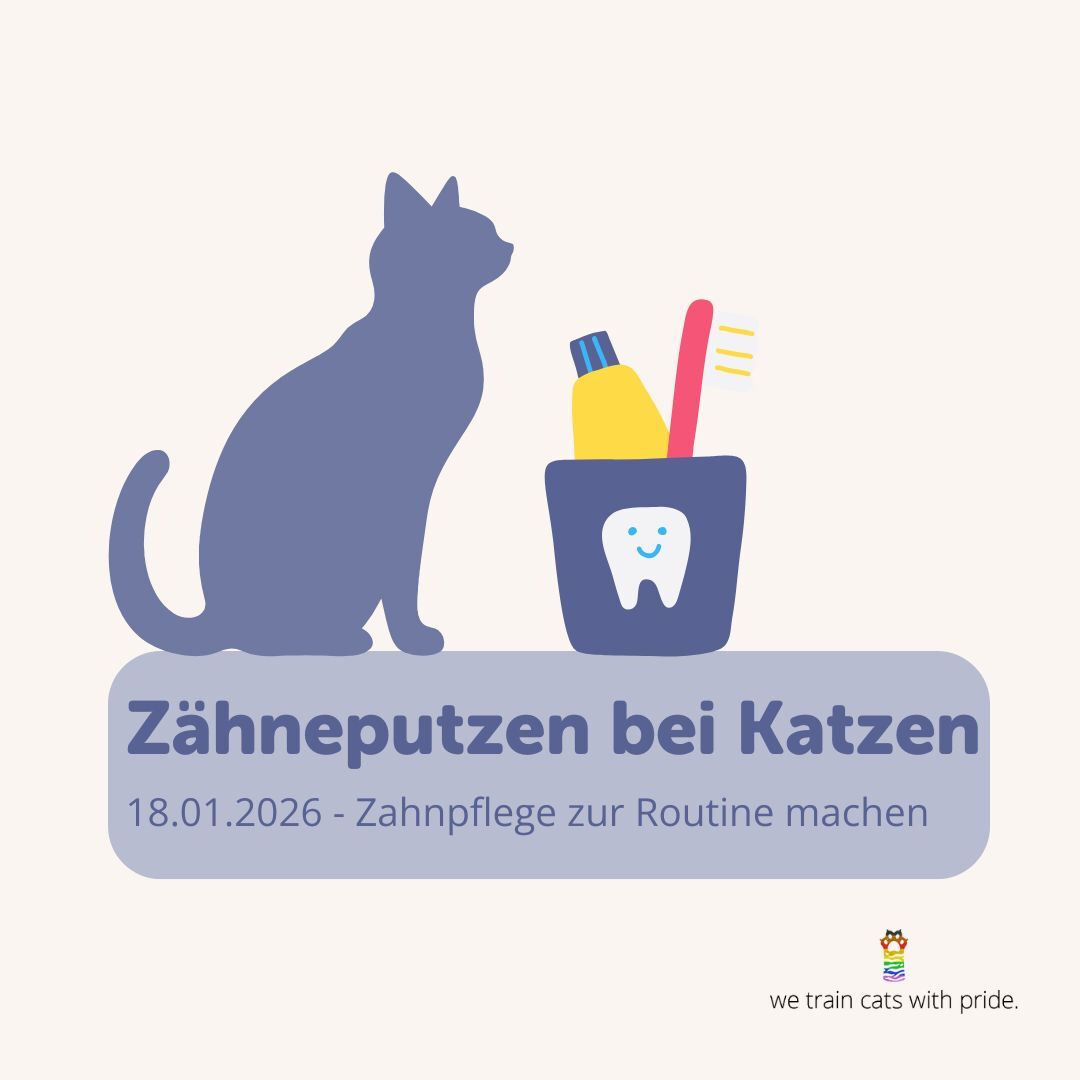 Zähne putzen-1080x1080.jpg