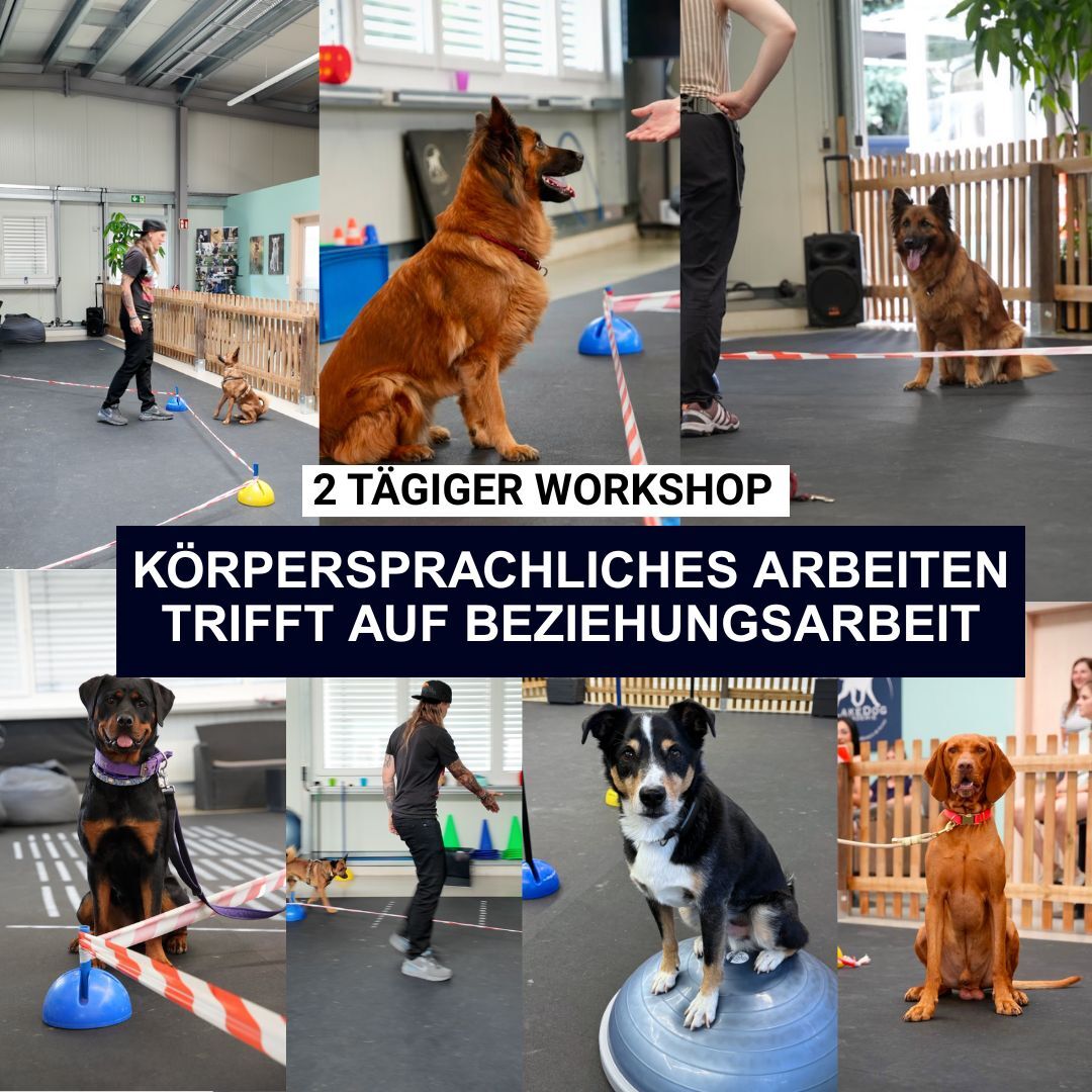 KOSTENLOSER EIGNUNGSTEST Bild 1 (Facebook-Beitrag (Quadrat))-1080x1080.jpg