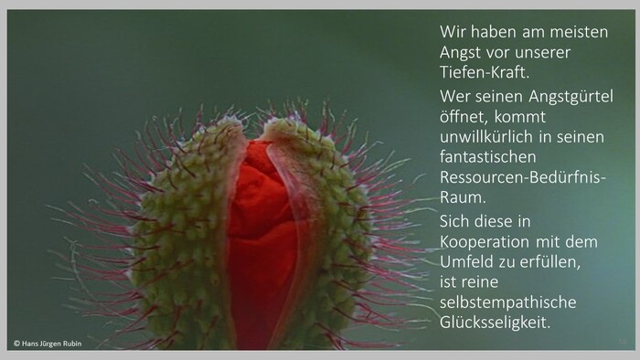 loaded_image