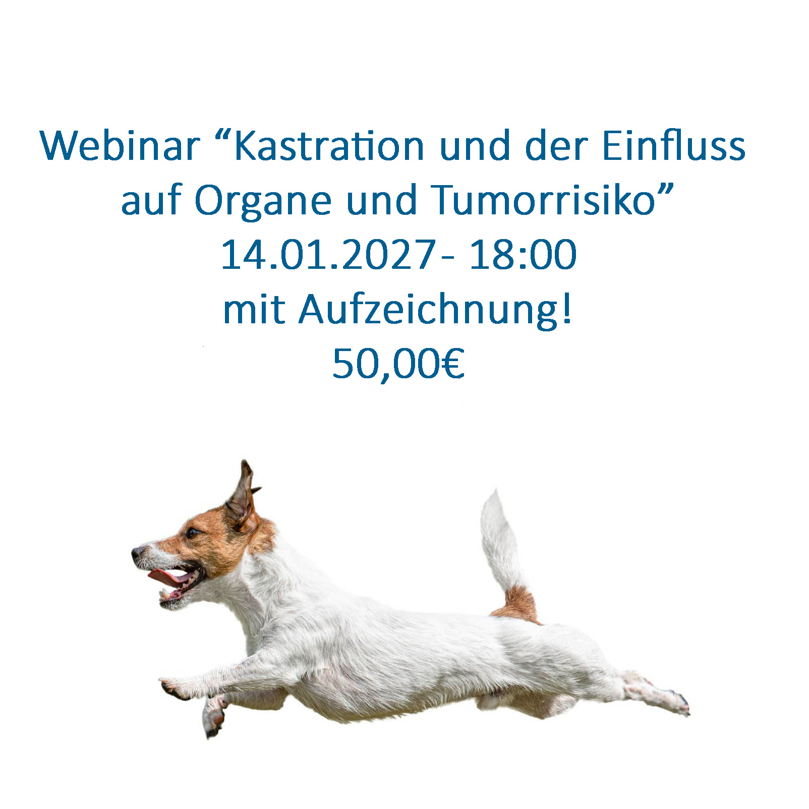 KastrationTumor01-1604x1604.jpg