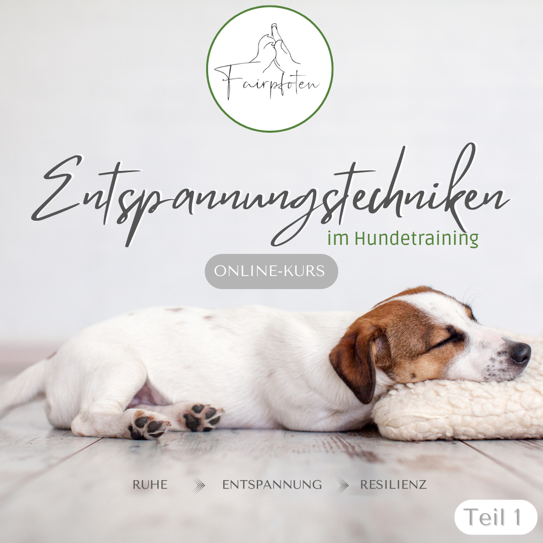 Entspannungstechniken im Hundetraining - Teil 1 korrigiert-1080x1080.png