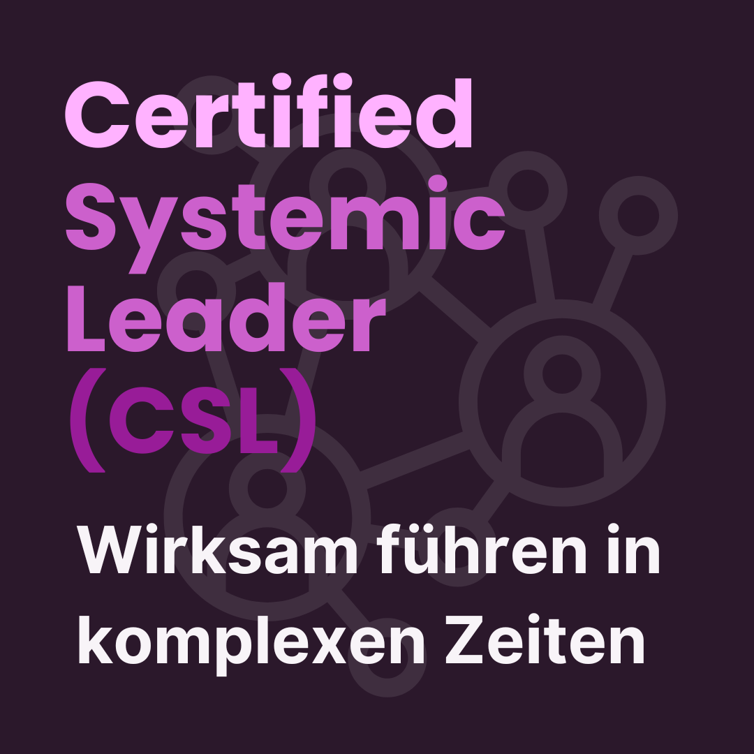 Banner für Certified Systemic Leader (CSL) Seminar
