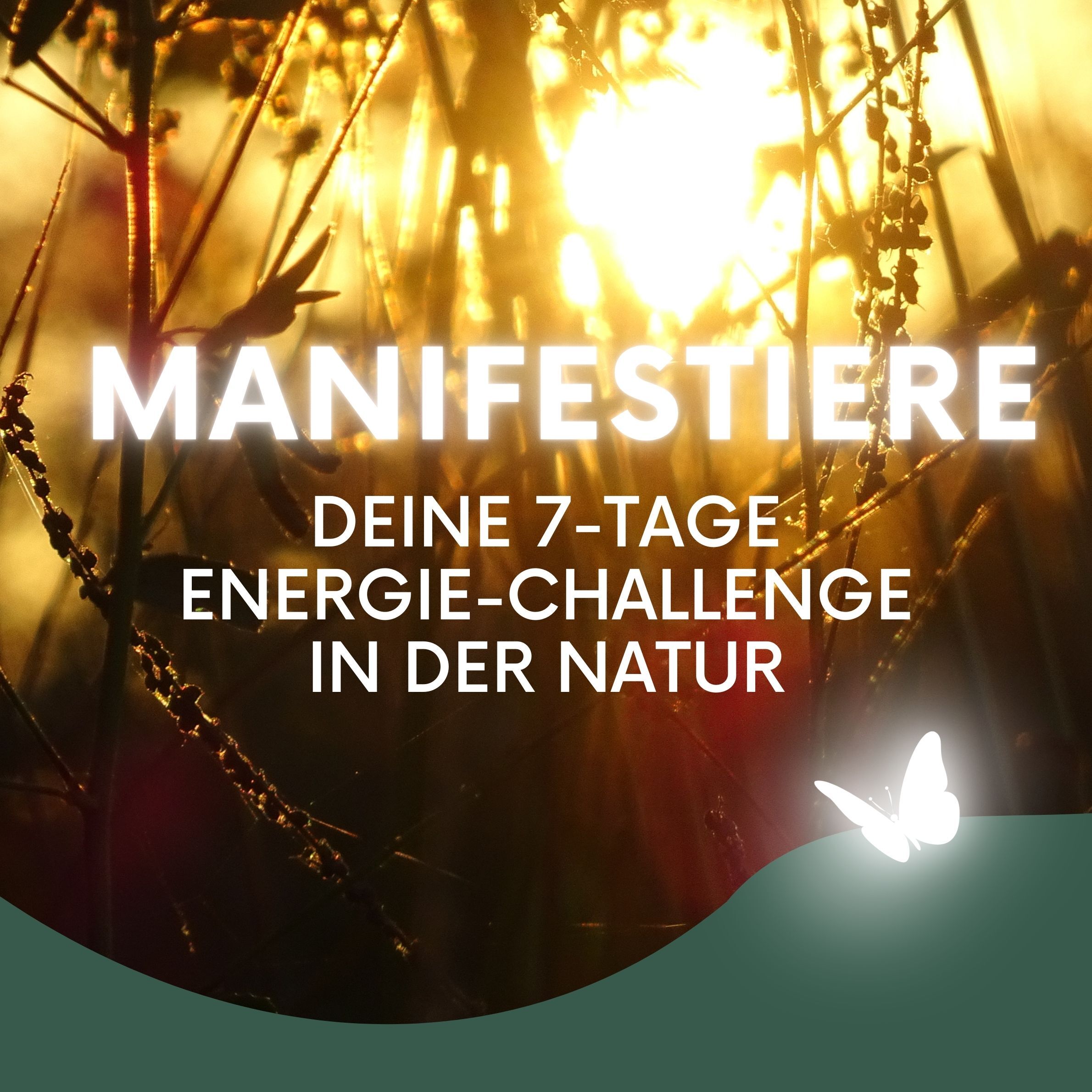 Quadrat Check Judith (5)-2380x2380.jpg