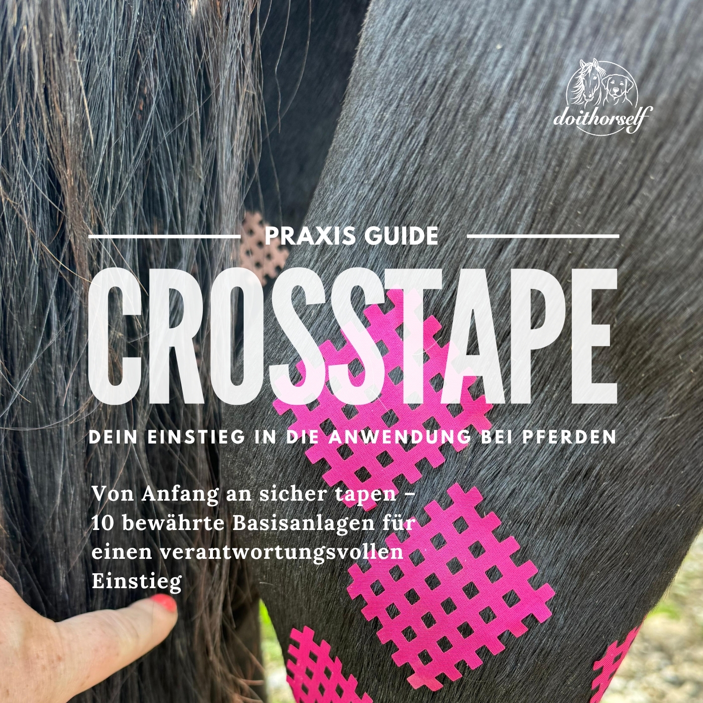 Crosstape Praxis Guide